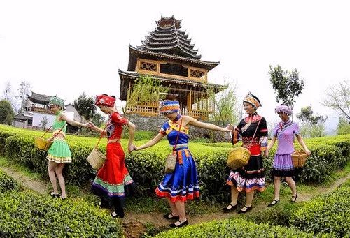 恩施富硒茶回甘持久(富硒茶恩施)-硒宝网