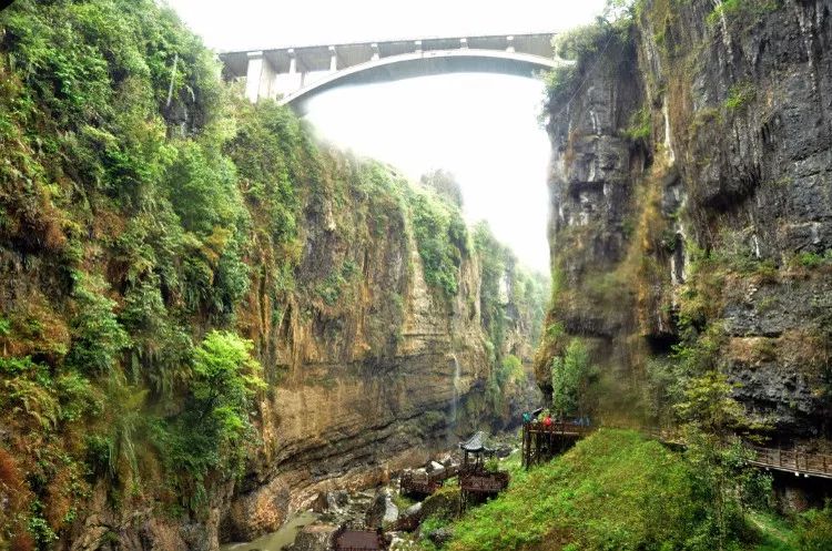 恩施富硒茶回甘持久(富硒茶恩施)-硒宝网