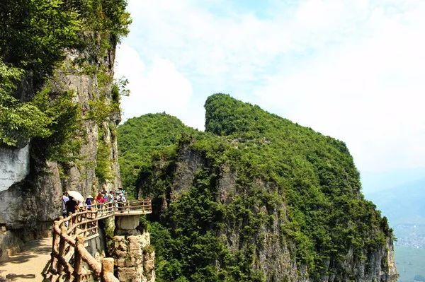 恩施富硒茶回甘持久(富硒茶恩施)-硒宝网