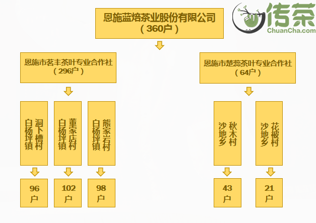 恩施富硒茶回甘持久(恩施富硒茶口感如何)-硒宝网