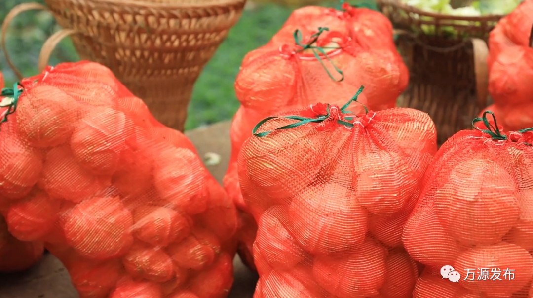 万源+富硒茶+茶山(万源富硒茶叶)-硒宝网