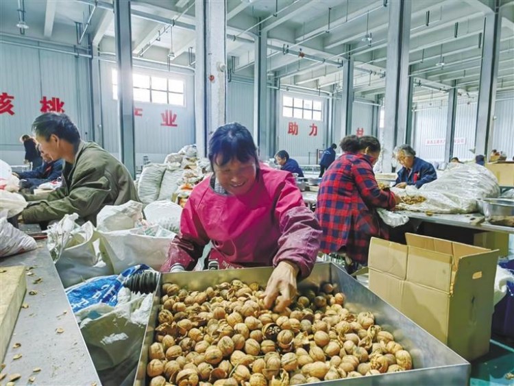 富硒茶的特色是什么(富硒茶叶的介绍)-硒宝网