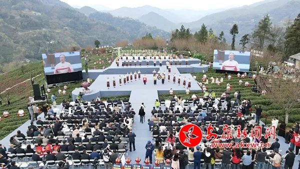 紫阳富硒茶发展趋势（紫阳富硒茶文化）-硒宝网