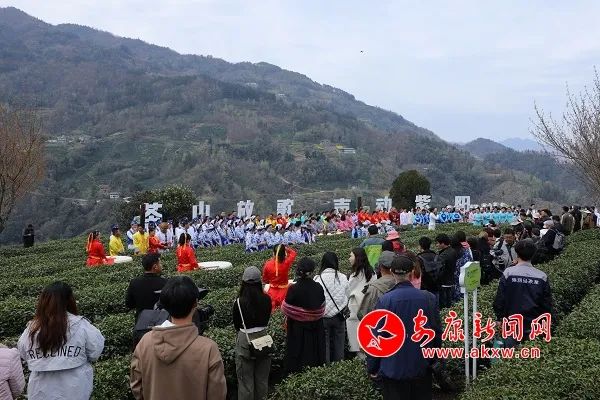 紫阳富硒茶发展趋势（紫阳富硒茶文化）-硒宝网