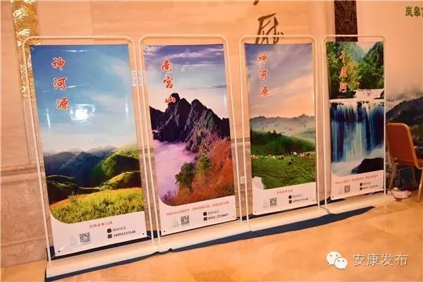 安康周林生态富硒茶(安康富硒茶产业)-硒宝网