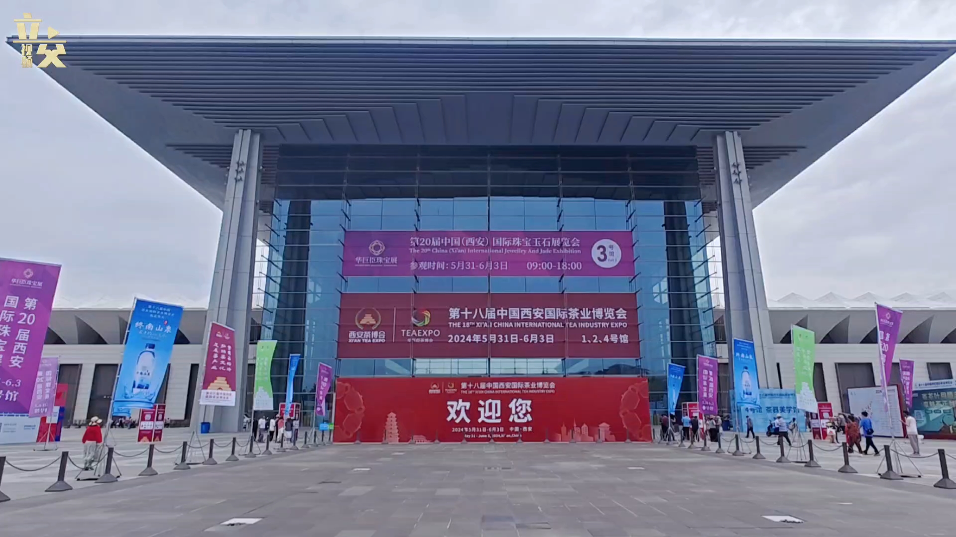 秦巴绿源安康富硒茶（安康富硒绿茶价格）-硒宝网