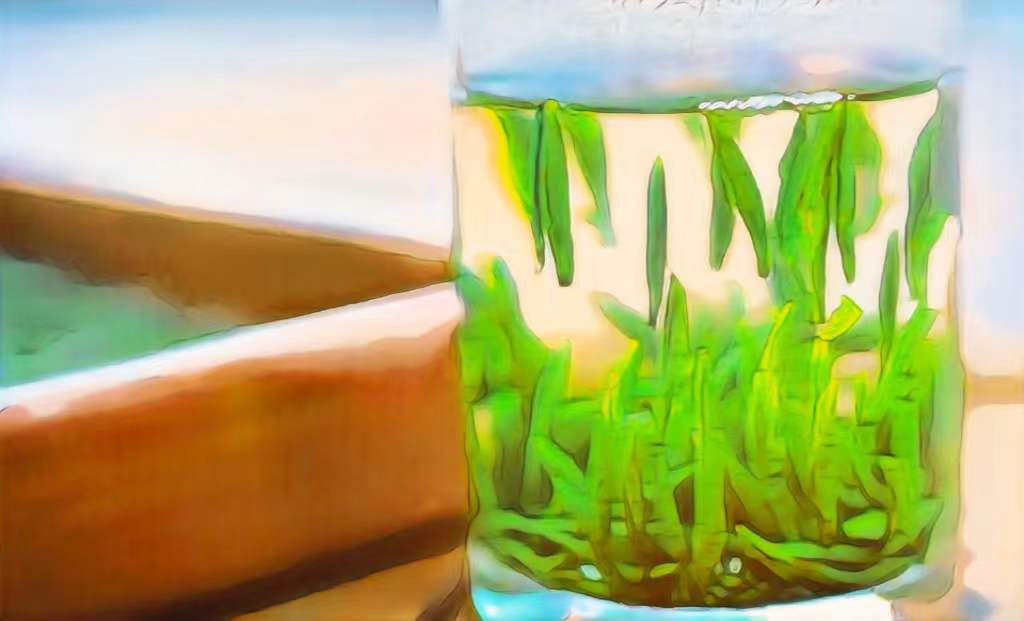 陕西西乡富硒茶产地(富硒茶园)-硒宝网