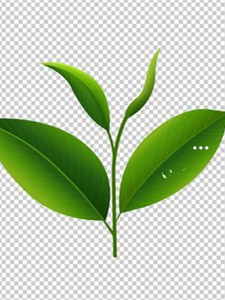 达州富硒茶哪里有卖（四川富硒茶）-硒宝网