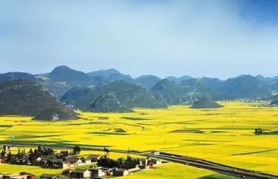 藤匠人富硒来凤藤茶（来凤藤茶多少钱一斤）-硒宝网