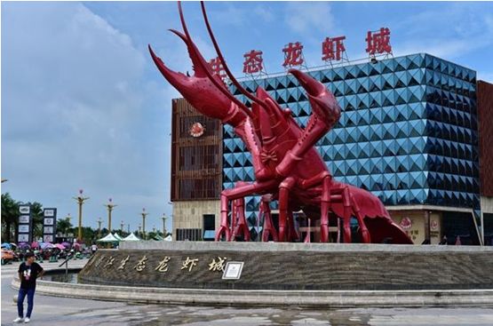 藤匠人富硒来凤藤茶（来凤藤茶多少钱一斤）-硒宝网