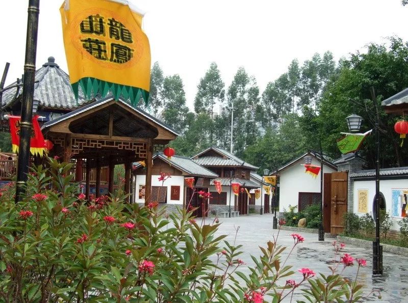 藤匠人富硒来凤藤茶（来凤藤茶多少钱一斤）-硒宝网