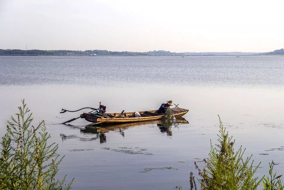 藤匠人富硒来凤藤茶（来凤藤茶多少钱一斤）-硒宝网