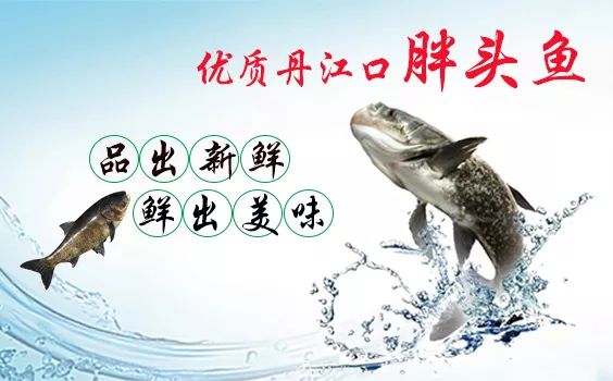 藤匠人富硒来凤藤茶（来凤藤茶多少钱一斤）-硒宝网