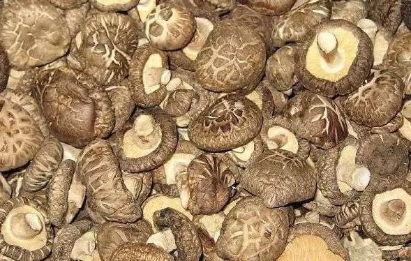 藤匠人富硒来凤藤茶（来凤藤茶多少钱一斤）-硒宝网