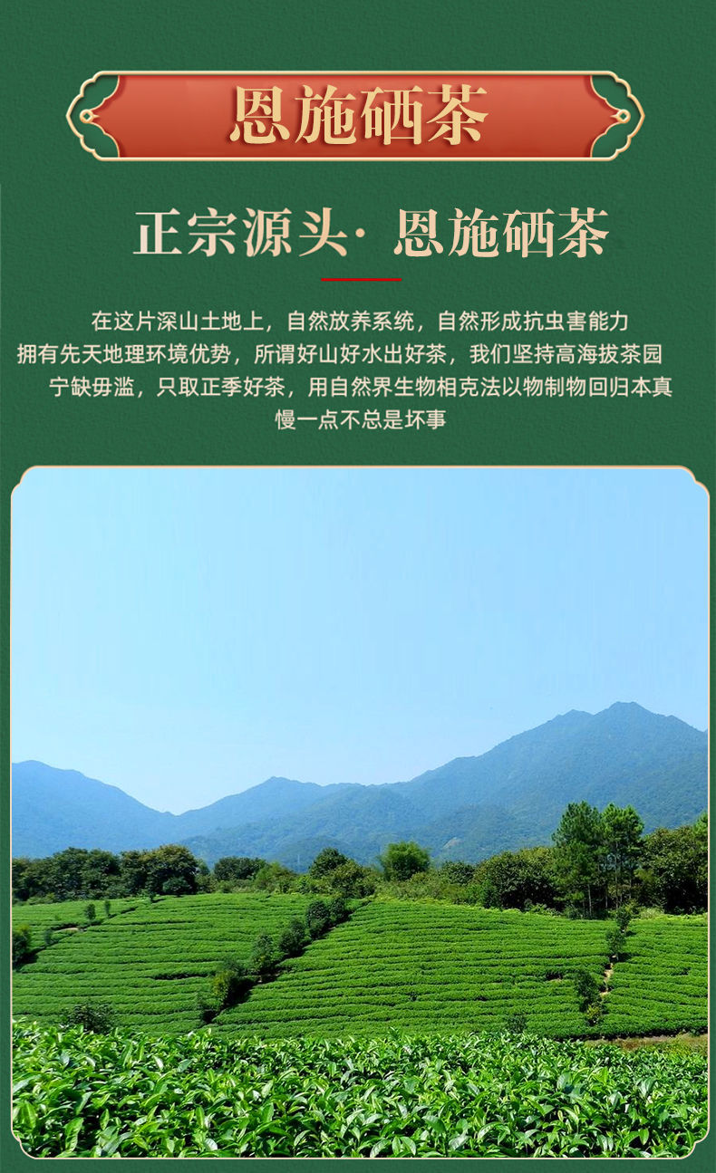 饮富硒茶要注意什么(喝富硒茶)-硒宝网