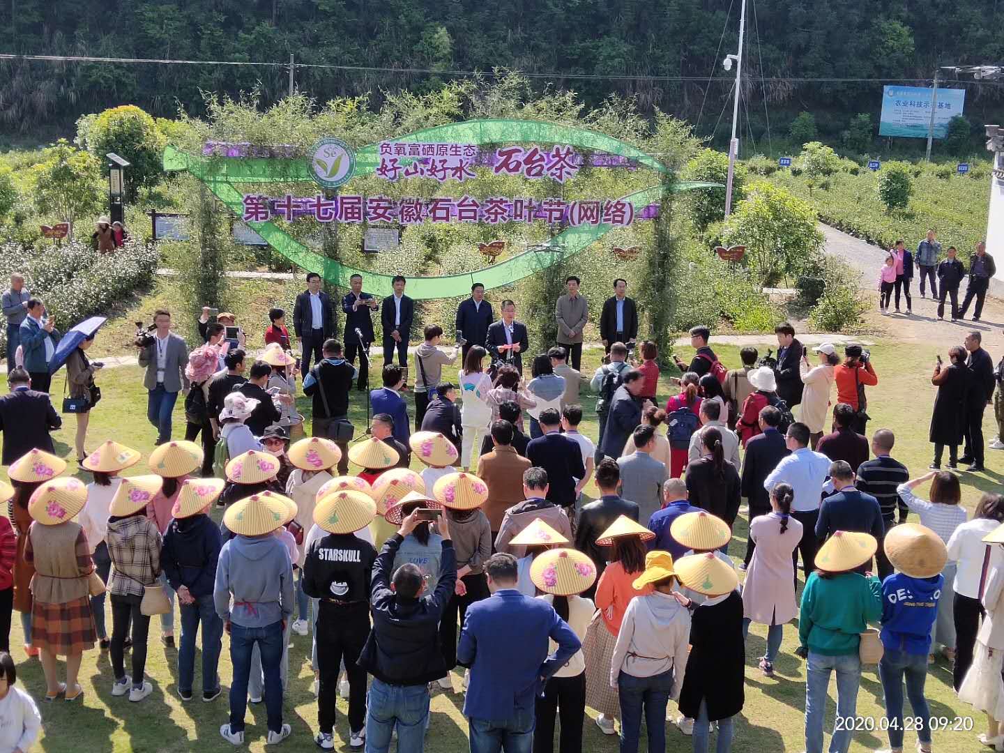 石台县长推荐富硒茶（石台县茶叶）-硒宝网