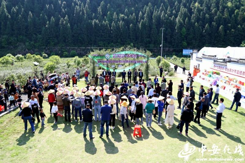 石台县长推荐富硒茶（石台县茶叶）-硒宝网