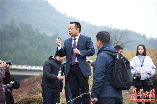 张家界莓茶是富硒茶(张家界莓茶基地)-硒宝网