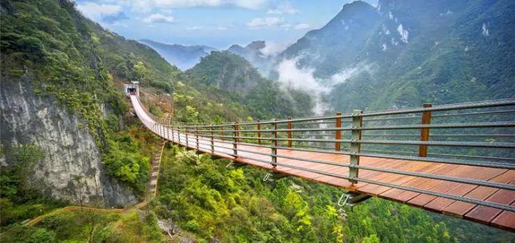 富硒土家神茶的作用(土家族神茶介绍)-硒宝网