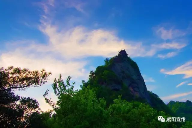 我为紫阳富硒茶代言（代言茶紫阳富硒为什么不卖）-硒宝网