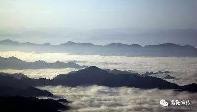 我为紫阳富硒茶代言（代言茶紫阳富硒为什么不卖）-硒宝网