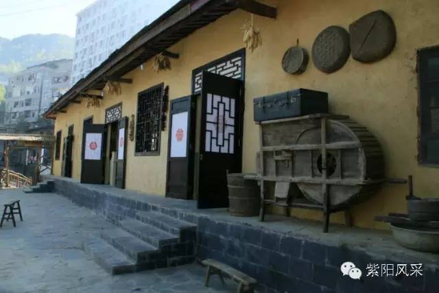 我为紫阳富硒茶代言（代言茶紫阳富硒为什么不卖）-硒宝网