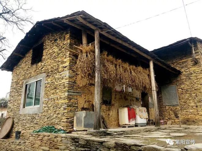 我为紫阳富硒茶代言（代言茶紫阳富硒为什么不卖）-硒宝网