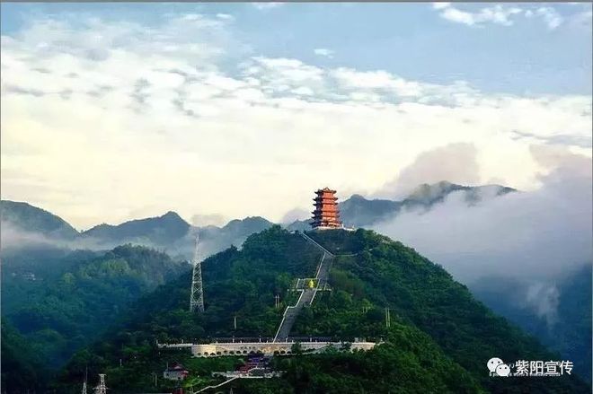 我为紫阳富硒茶代言（代言茶紫阳富硒为什么不卖）-硒宝网