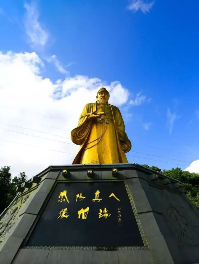 我为紫阳富硒茶代言（代言茶紫阳富硒为什么不卖）-硒宝网