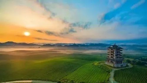 凤冈富硒茶湄潭翠芽（湄潭翠芽茶厂）-硒宝网