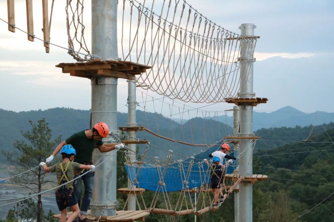 巨鹿康养富硒茶价格（康硒谷富硒茶价钱）-硒宝网