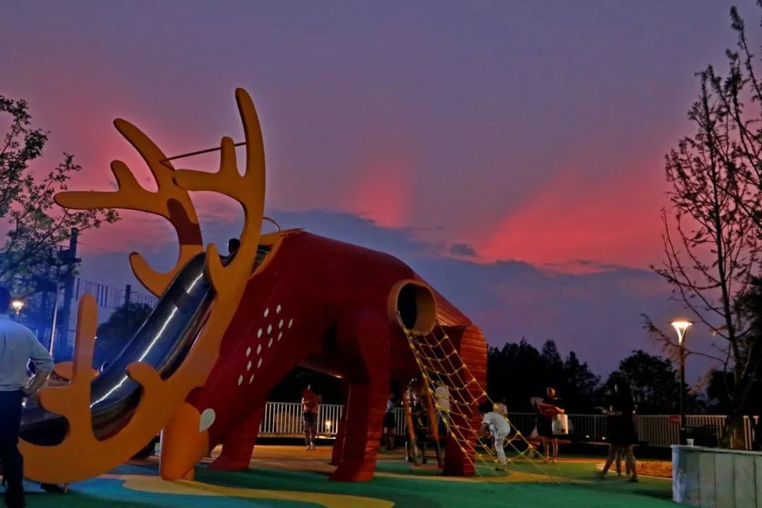 巨鹿康养富硒茶价格（康硒谷富硒茶价钱）-硒宝网