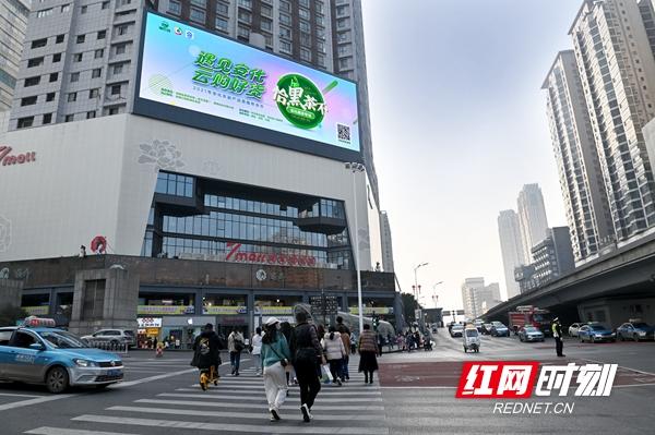 富硒黑茶有哪些品牌(富硒黑茶价格表)-硒宝网