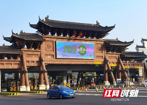 富硒黑茶有哪些品牌(富硒黑茶价格表)-硒宝网