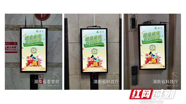 富硒黑茶有哪些品牌(富硒黑茶价格表)-硒宝网