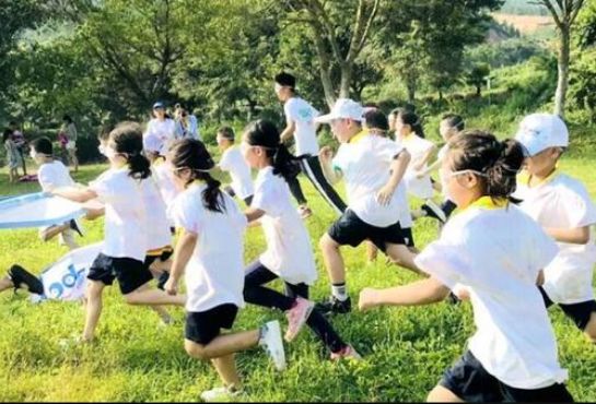 巨鹿康养富硒茶价格（康硒茶的功效与作用）-硒宝网