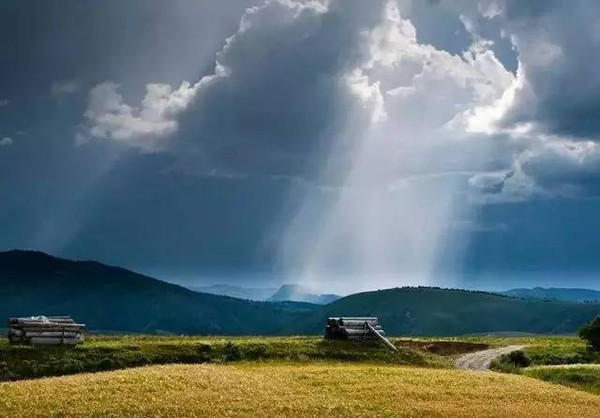 家乡最出名的富硒茶（富硒茶之乡）-硒宝网