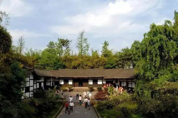 家乡最出名的富硒茶（富硒茶之乡）-硒宝网