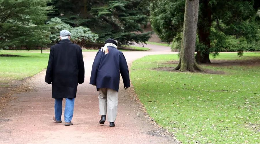 老人补钙的最好方法(补钙老人方法好的有哪些)-硒宝网