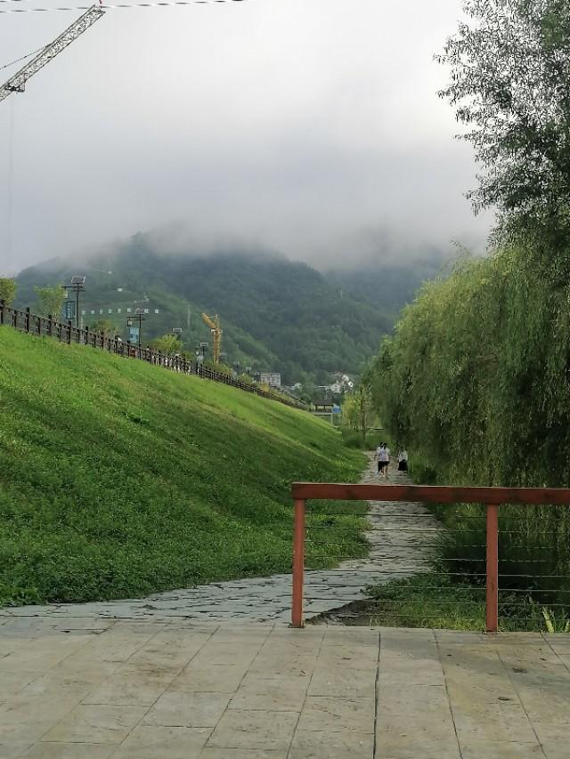 紫阳富硒茶与铁观音(铁观音茶含硒吗)-硒宝网