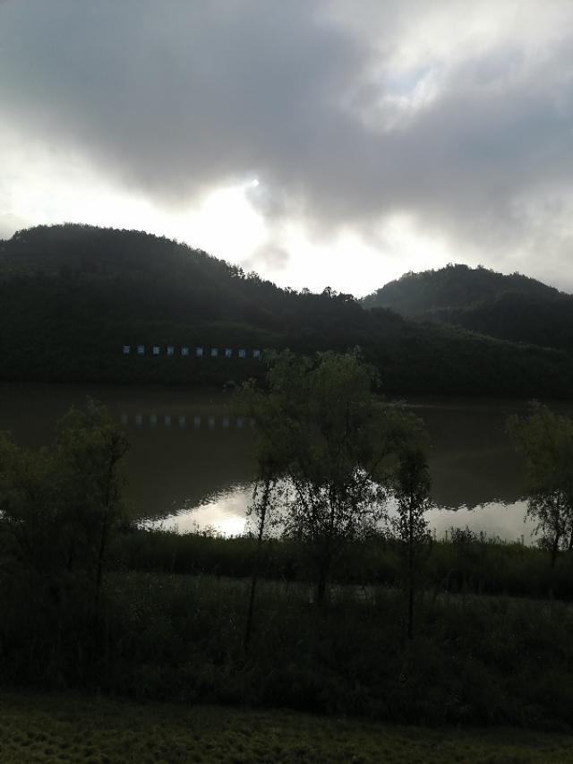 紫阳富硒茶与铁观音(铁观音茶含硒吗)-硒宝网