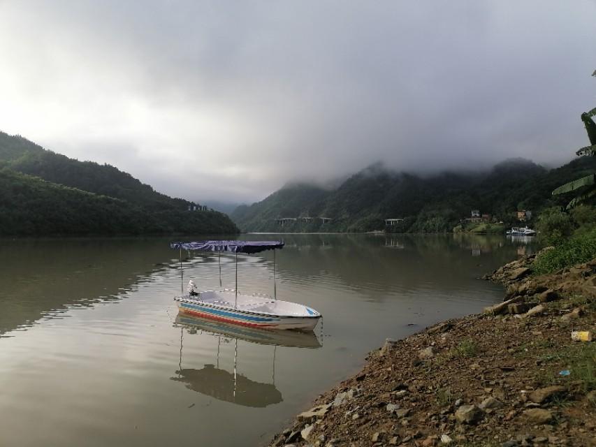 紫阳富硒茶与铁观音(铁观音茶含硒吗)-硒宝网