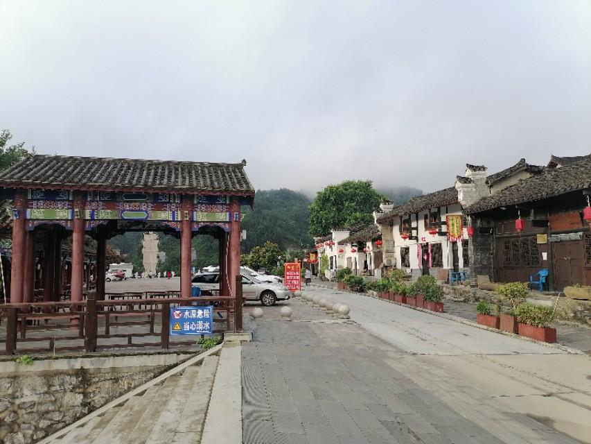 紫阳富硒茶与铁观音(铁观音茶含硒吗)-硒宝网