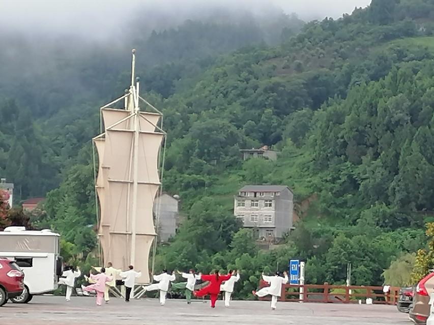 紫阳富硒茶与铁观音(铁观音茶含硒吗)-硒宝网