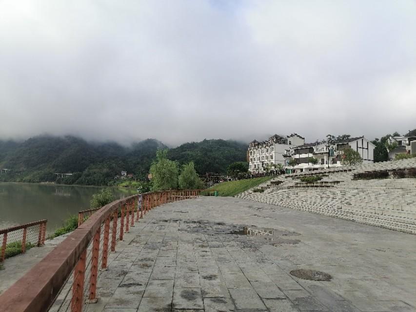 紫阳富硒茶与铁观音(铁观音茶含硒吗)-硒宝网