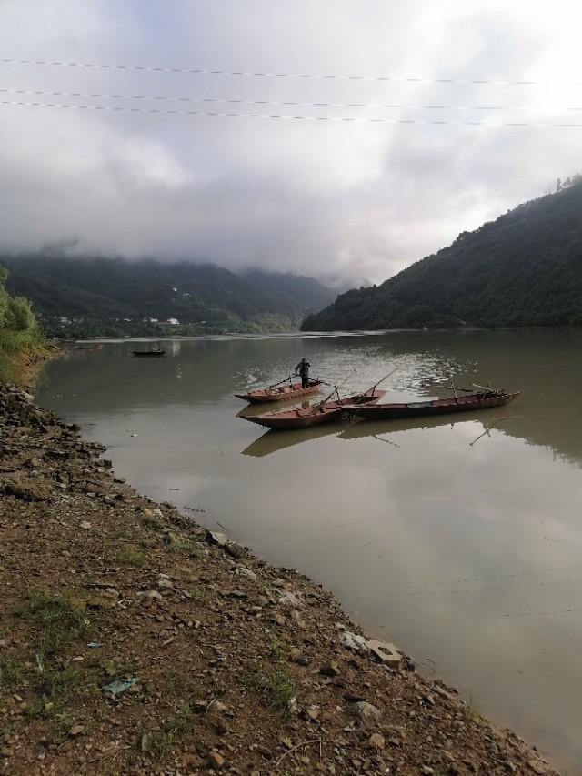 紫阳富硒茶与铁观音(铁观音茶含硒吗)-硒宝网