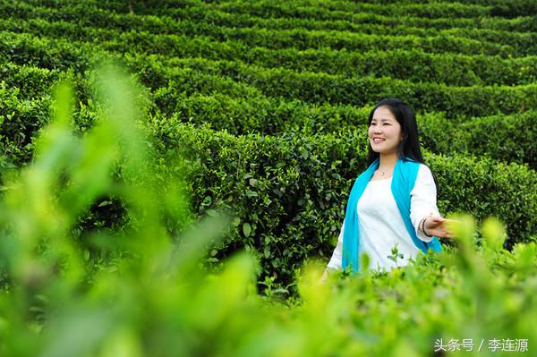 紫阳富硒茶与铁观音（富硒铁观音茶叶）-硒宝网