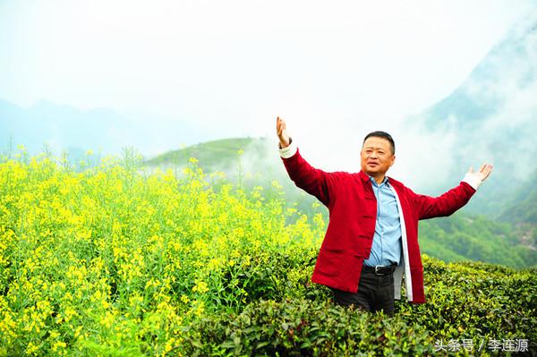 紫阳富硒茶与铁观音（富硒铁观音茶叶）-硒宝网