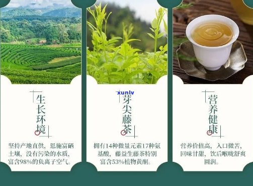 富硒藤茶是否降血糖(富硒能降低血糖吗)-硒宝网