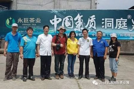 富硒藤茶价格是多少(富硒藤茶的功效与作用)-硒宝网